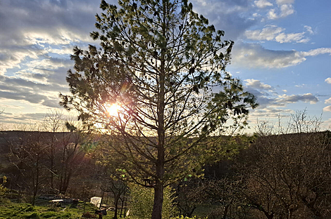 Дом, Данковцы: 9