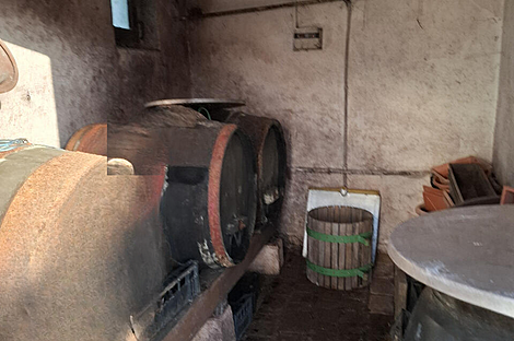 Дом, Данковцы: 10