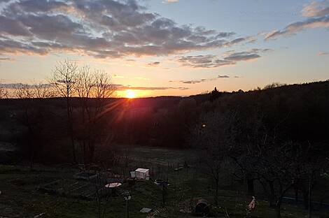 Данковцы, дом: 12