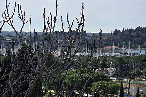 Дом, Лучия, Порторож: 10