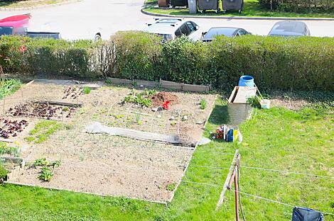 Жильё в Новых Чернучах: 10