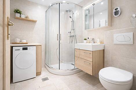 1-комнатная квартира Новая Шишка: 9