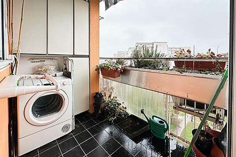 2-комнатная квартира, ЛШ Шишка: 10