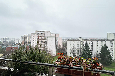 2-комнатная квартира, ЛШ Шишка: 11