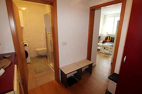 Апартаменты в центральной части Любляны: 5