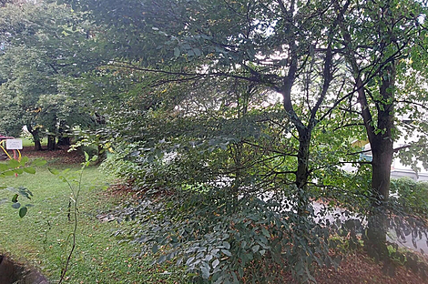 Трёхкомнатная квартира на Поле: 16