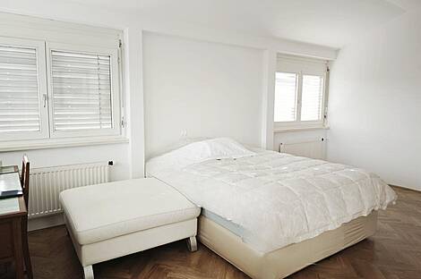 Пентхаус на Пруле в столице Словении - Любляне.: 10