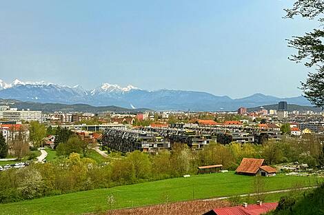 Апартаменты в центре на Полянах: 16