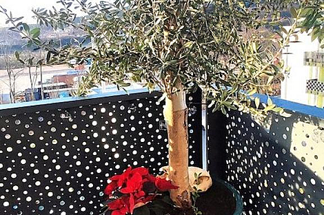 Квартира с двумя комнатами в Новой Козине: 6