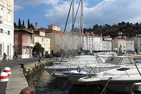 Двухкомнатная квартира возле моря: 1