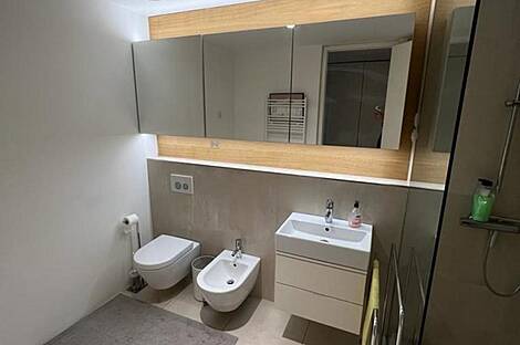 Трёхкомнатная квартира в Таборе: 13