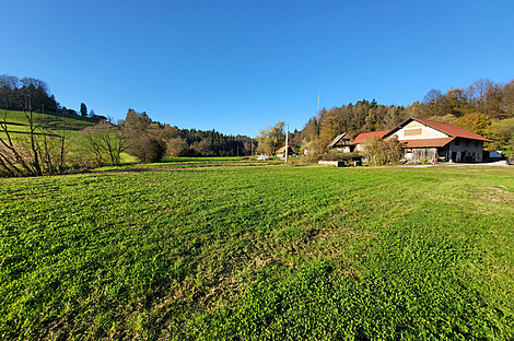 Метель 

Имение Новое Раковецкое Хозяйство.: 1