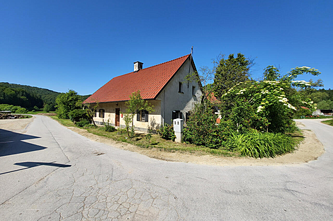 Метель 

Имение Новое Раковецкое Хозяйство.: 2