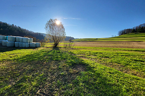 Метель 

Имение Новое Раковецкое Хозяйство.: 3