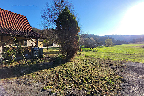 Метель 

Имение Новое Раковецкое Хозяйство.: 8