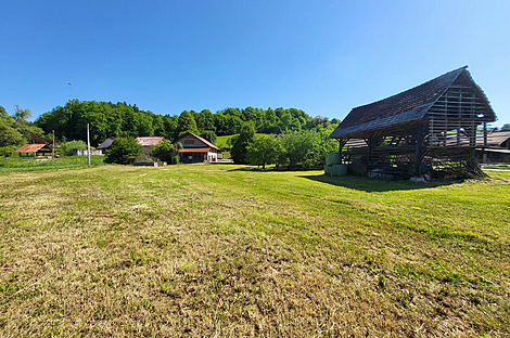 Метель 

Имение Новое Раковецкое Хозяйство.: 9