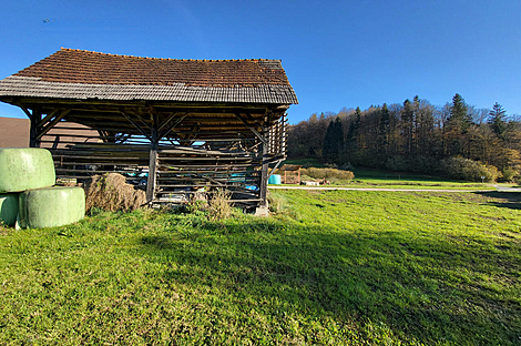 Метель 

Имение Новое Раковецкое Хозяйство.: 10