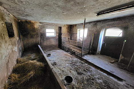 Метель 

Имение Новое Раковецкое Хозяйство.: 19