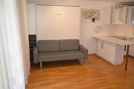 Жилье в центральной части Любляны: 5