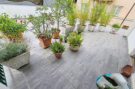 Квартира Шалара с тремя комнатами: 12