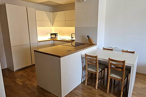 2,5-комнатная квартира в Любляне: 3