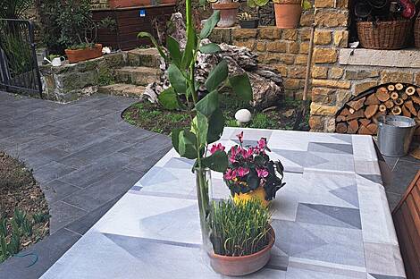 Дом в Портороже: 8