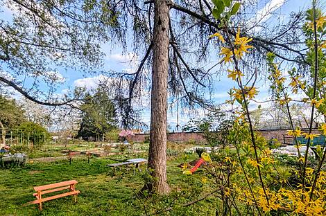 Двухкомнатная квартира в Бежиграде: 9