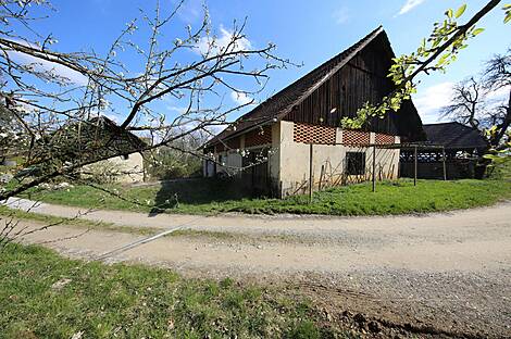 Дом 'Ферма Новый Шентвид в Стичне': 6