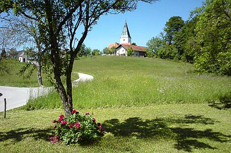 Усадьба, агроусадьба Тополе, Текацево.: 4