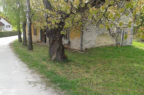 Усадьба, агроусадьба Тополе, Текацево.: 9