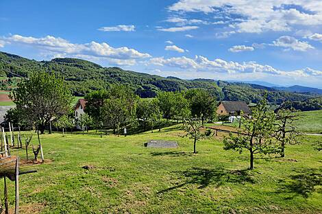 Дом Кметияново, Подсреда: 5