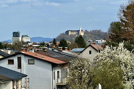 Трёхкомнатная квартира, расположенная в Ново Брдо: 16