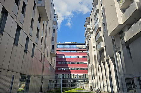 Однокомнатная квартира на Таборе: 1