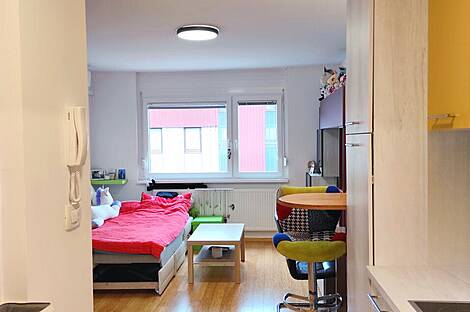 Студия в Мосте: 3