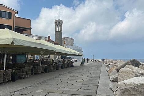 Квартира с одной комнатой: 1