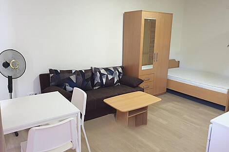 Апартаменты, Небольшая Шишка: 4