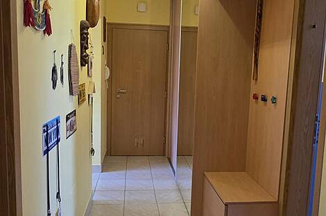 3-комнатная квартира Шишка: 5