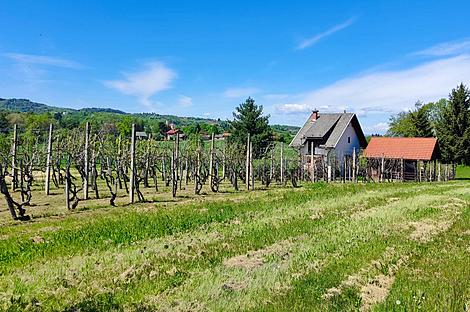 Усадьба Ново Радец, Йесенице-на-Доленьском: 9
