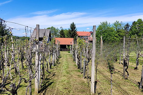 Усадьба Ново Радец, Йесенице-на-Доленьском: 10