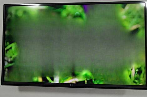 Квартира с тремя комнатами на улице Побешка в районе Бертох.: 20