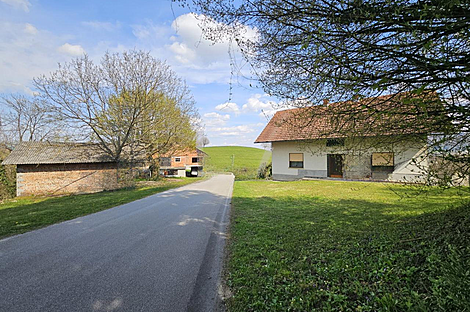 Дом и хозяйство Видовица: 1