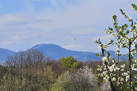 Дом и хозяйство Видовица: 5