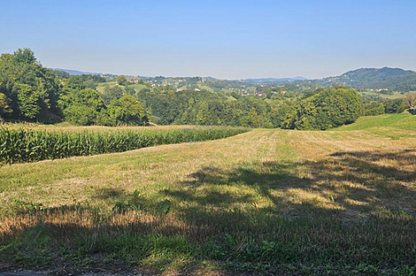 Дом и хозяйство Видовица: 6