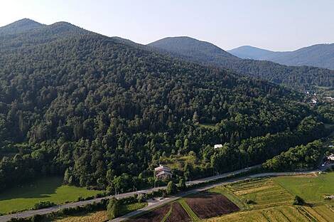 Горичица, участок сельского хозяйства, расположенный под Кримом.: 1