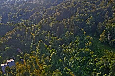 Горичица, участок сельского хозяйства, расположенный под Кримом.: 4