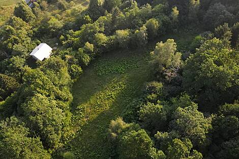 Горичица, участок сельского хозяйства, расположенный под Кримом.: 6