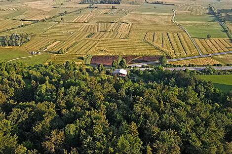 Горичица, участок сельского хозяйства, расположенный под Кримом.: 10