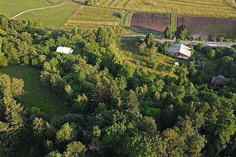 Горичица, участок сельского хозяйства, расположенный под Кримом.: 11
