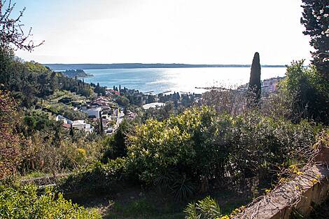 Порторож, дом: 3