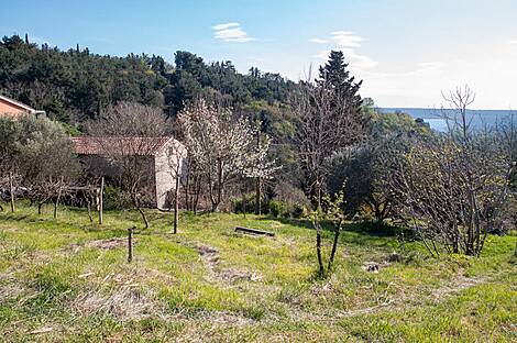 Порторож, дом: 6